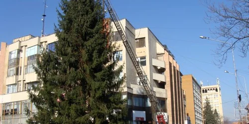 A început împodobirea bradului din centrul oraşului