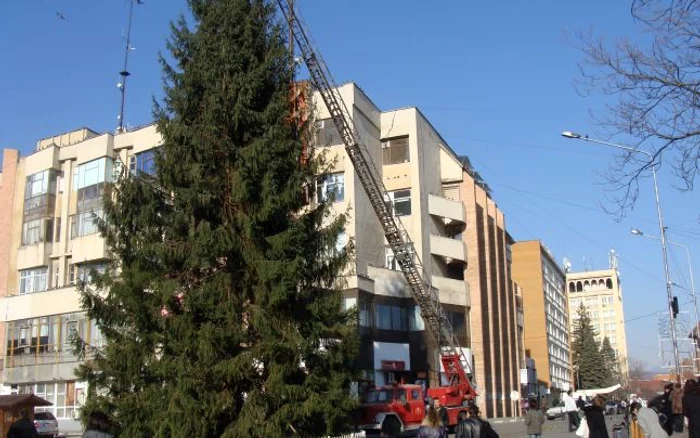 A început împodobirea bradului din centrul oraşului