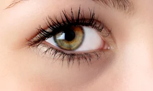1 ochi shutterstock 1467272 jpg jpeg