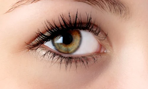 1 ochi shutterstock 1467272 jpg jpeg