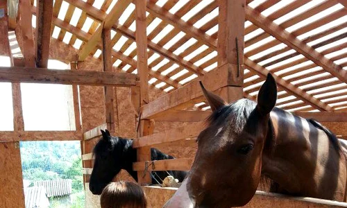 1006142 684854754874300 1105074877 n jpeg