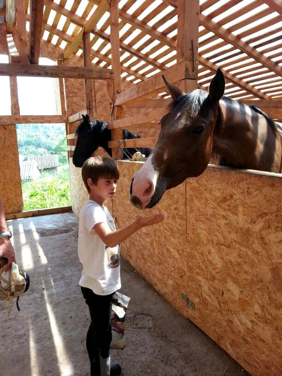 1006142 684854754874300 1105074877 n jpeg