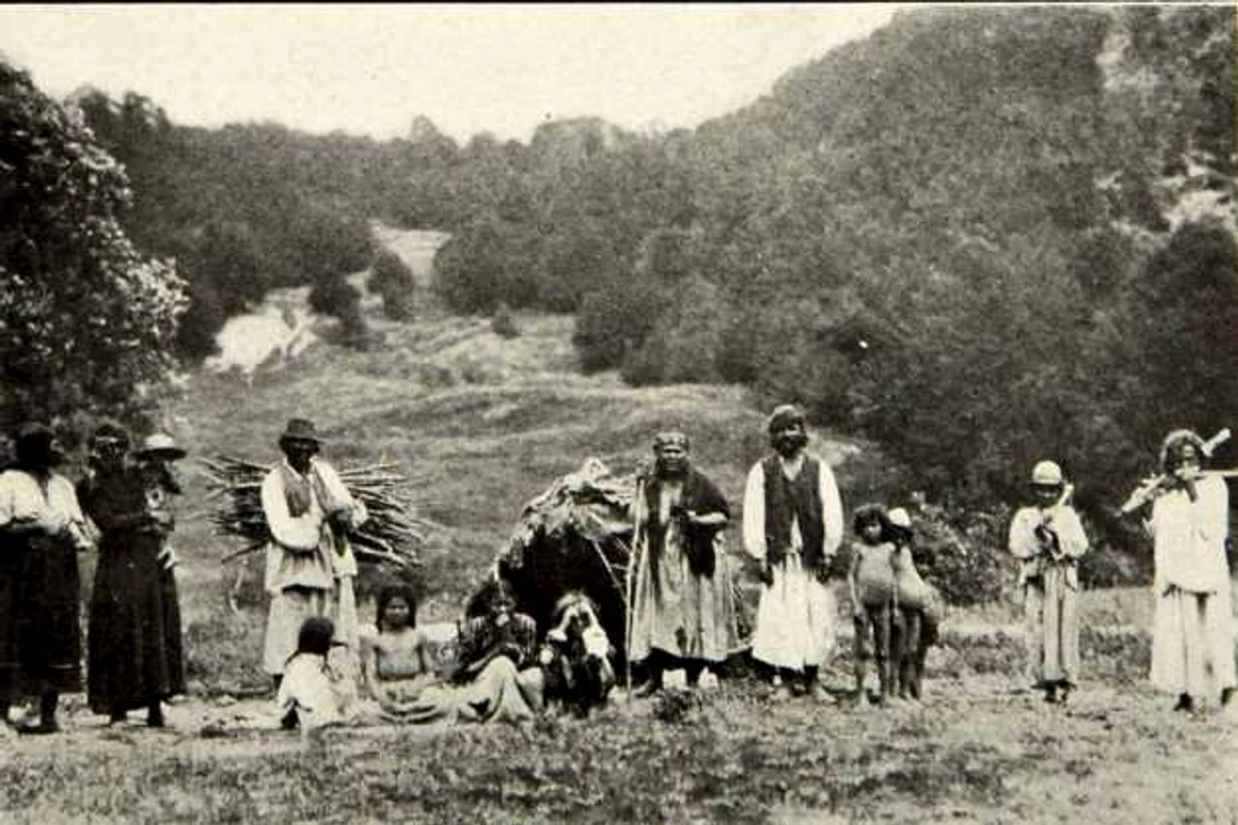 tiganii