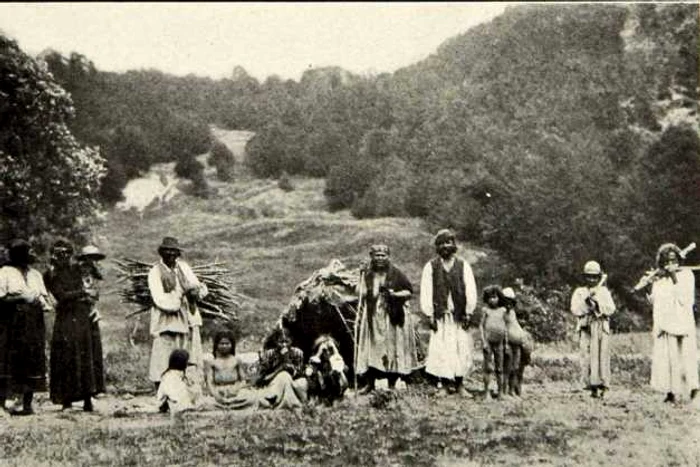 tiganii