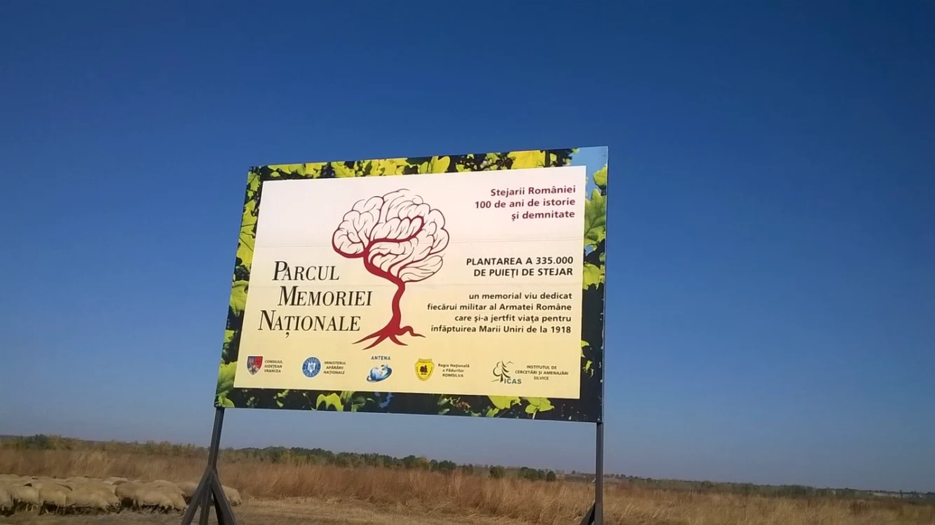 stejari vrancea