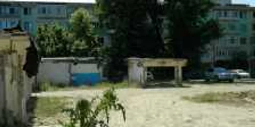 Bălării cât omul în zona Scolii nr.28 din Galaţi. Foto