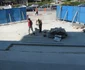 Muncitorii lucreză la montarea noilor trepte din andezit Foto