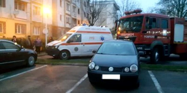 cavadru targu jiu