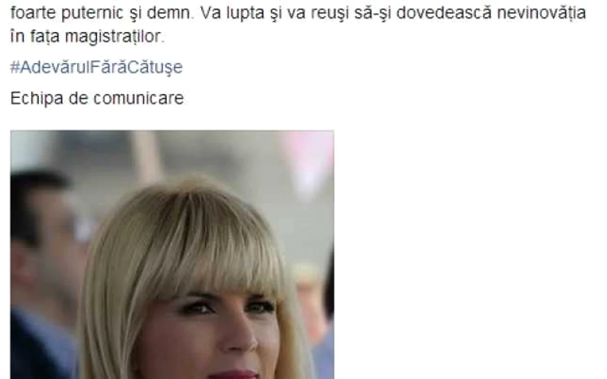 elena udrea mesaj facebook