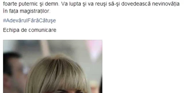 elena udrea mesaj facebook