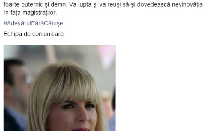 elena udrea mesaj facebook