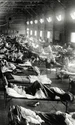 epidemie gripa spaniola 1918 jpg