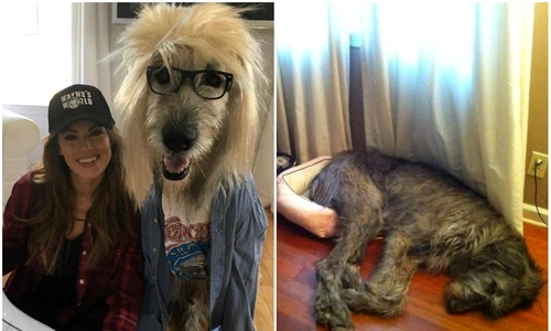 1 84735 original jpg jpeg