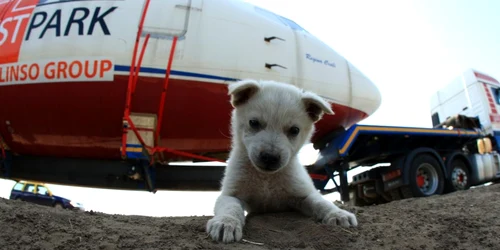 În Buzău a fost cea mai dificilă parte a traseului. Foto www.inavion.ro