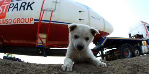 În Buzău a fost cea mai dificilă parte a traseului. Foto www.inavion.ro