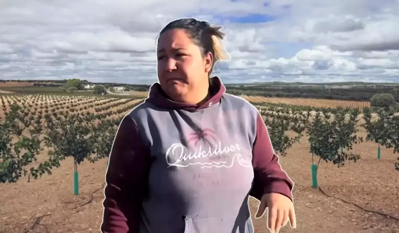 Marinela din Spania caută muncitori pentru tăierea „aurului verde” / foto: El Espanol
