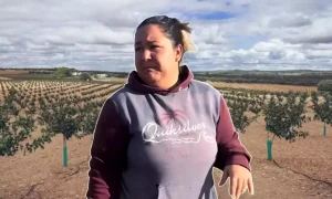 andrea marinela spania observator webp