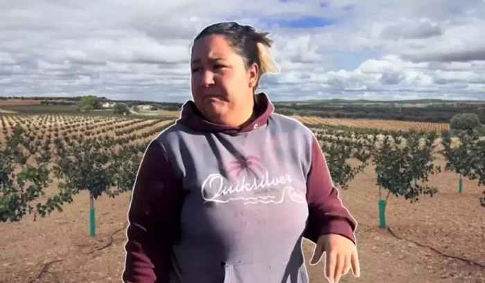 Marinela din Spania caută muncitori pentru tăierea „aurului verde” / foto: El Espanol