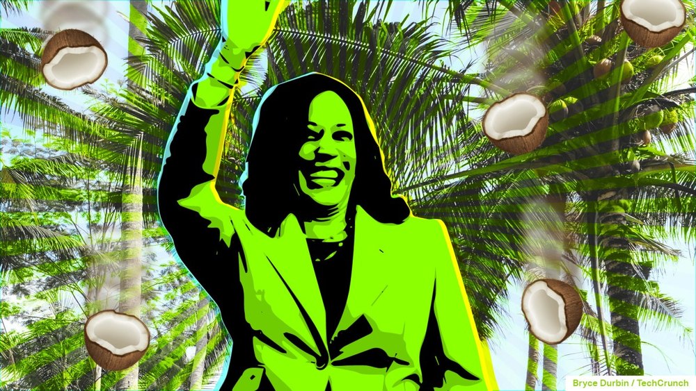 Un meme devenit viral ar putea să o ajute pe Kamala Harris să câștige. Nuca de cocos, simbol de susținere în alegerile din SUA VIDEO