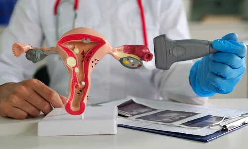 shutterstock 2494938107 jpg