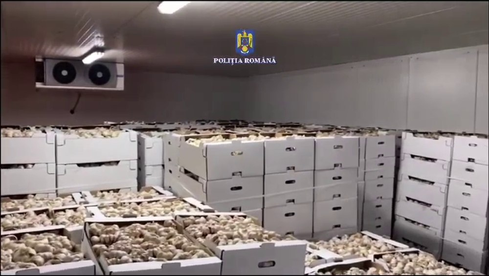 Fermieri din Spania, înșelați de români. Prejudiciul este de jumătate de milion de euro VIDEO