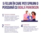 Infografic Parkinson (1) jpeg