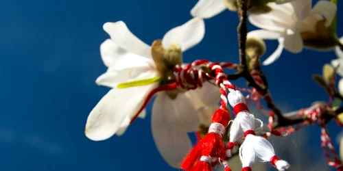 martisor