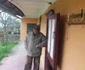 Pe urmele lui Wieissmuller la Medja FOTO Ştefan Both