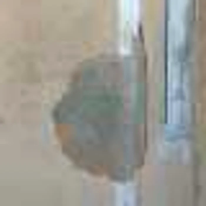 La Şcoala din Hulubeşti nu s-a făcut igienizare de patru ani