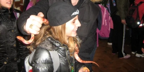 Satu Mare: Expoziţie fascinantă de reptile vii la Muzeul Judeţean