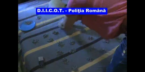droguri studenta