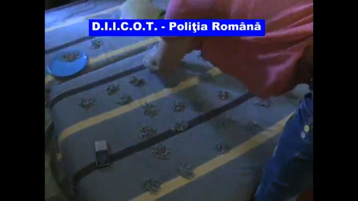 droguri studenta