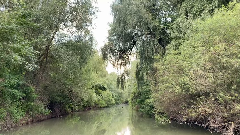 Escapadă de o zi în Delta Dunării. Diferența dintre o excursie pe cont propriu și una organizată de o agenție VIDEO 