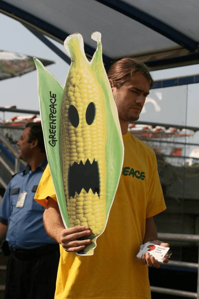 Content image