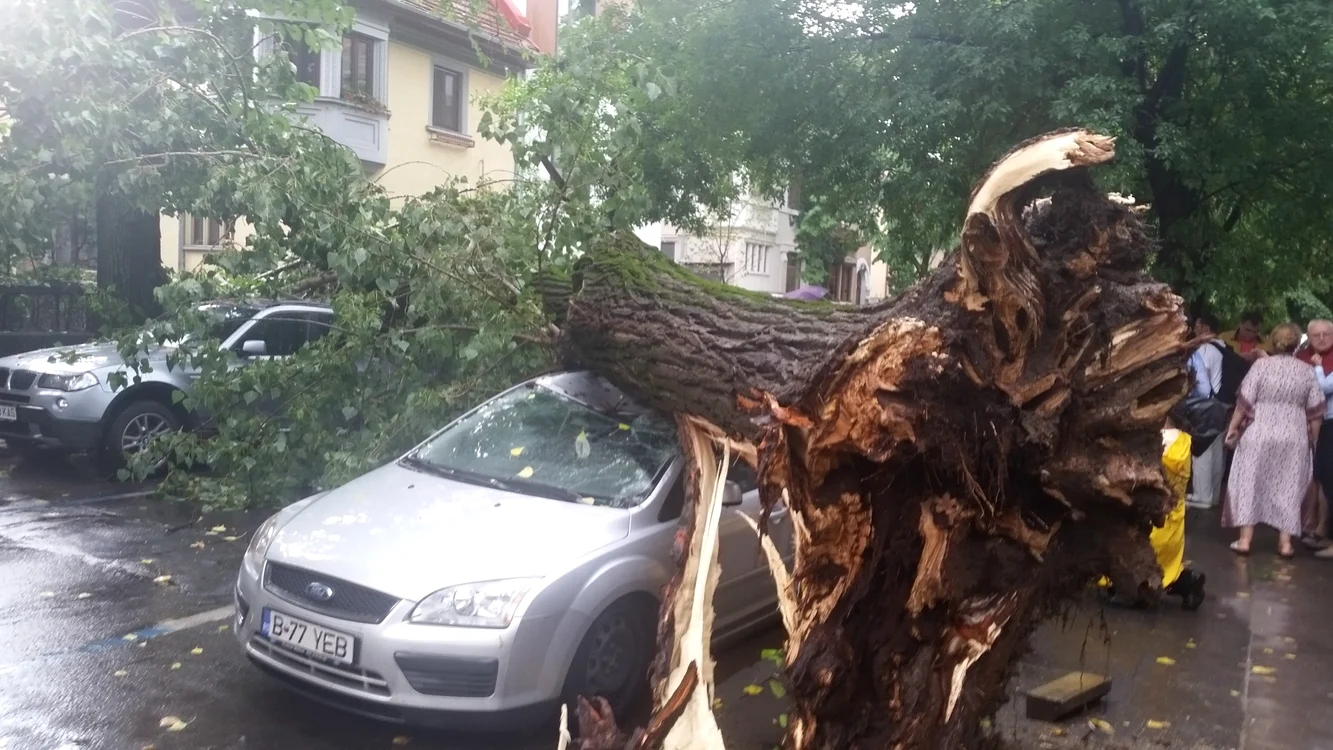 Un arbore de mari dimensiuni a distrus două mașini pe strada Roma, din sectorul 1, în luna iunie