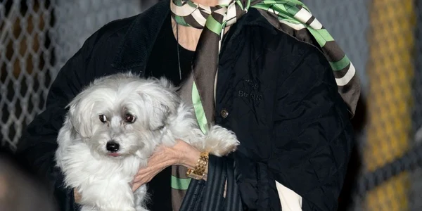 Jane Fonda a făcut furori pe Internet! 