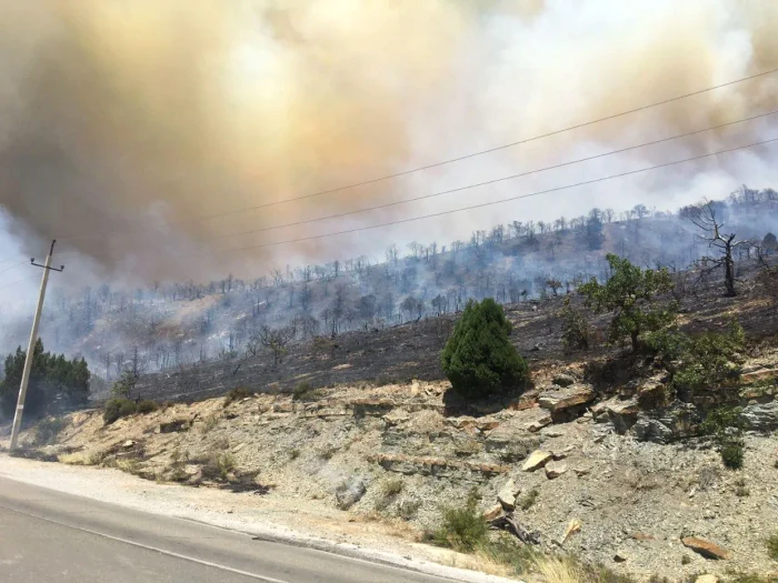 Rusia se confruntă cu incendii de vegetație FOTO Mayor Andrei Kravchenko/Telegram
