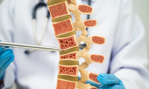 shutterstock 2739300199 jpg