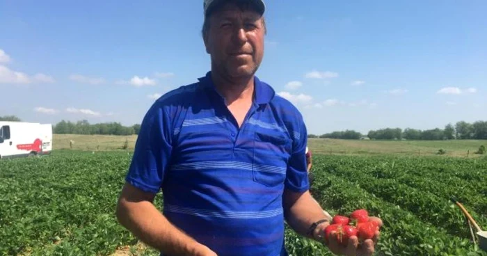 Fermierii susţin că nu mai reuşesc să găsească forţă de muncă