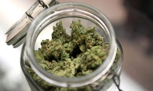 marijuana jpeg