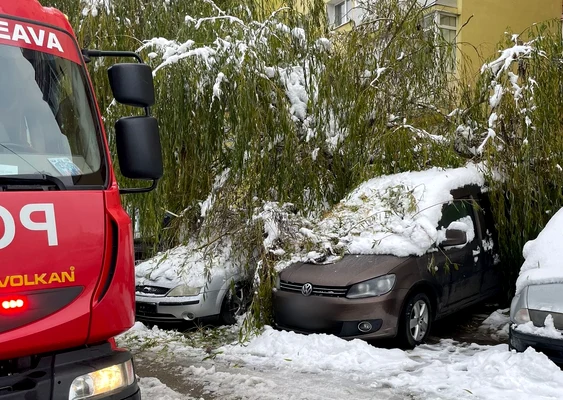FOTO: ISU Suceava 