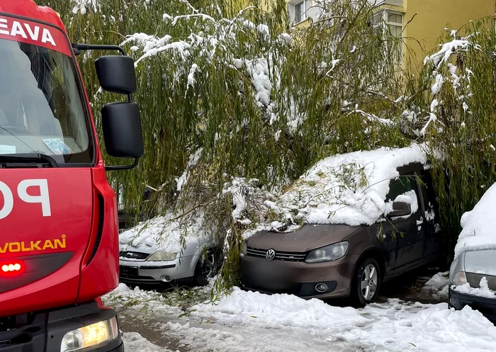 FOTO: ISU Suceava 