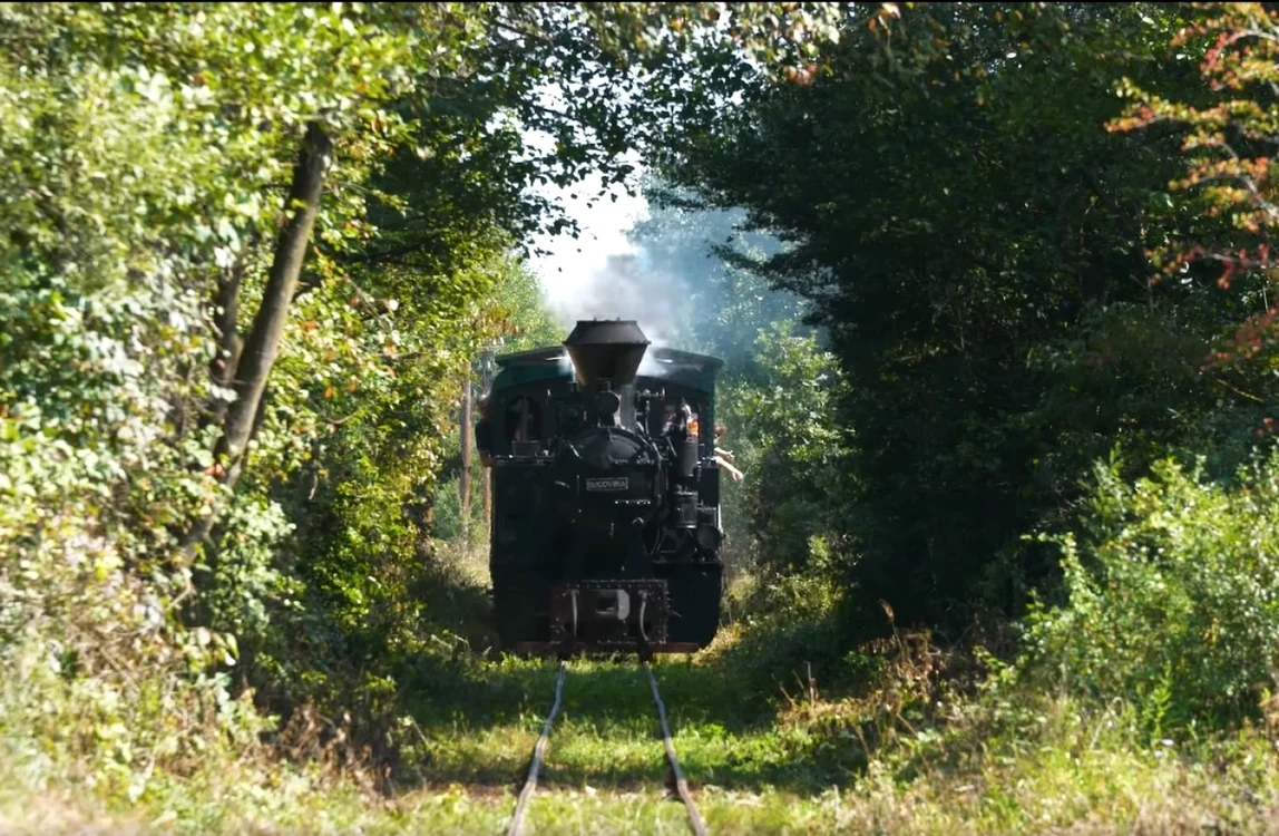 Mocăniţa de pe Valea Hârtibaciului - Sibiu în Tunelul Dragostei Foto captură video - credit Prietenii Mocăniţei