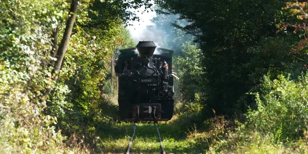 Mocăniţa de pe Valea Hârtibaciului - Sibiu - Tunelul dragostei Foto Mocăniţa Transilvaniei