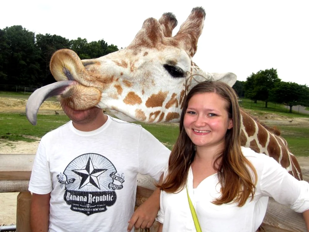 Girafa (Foto: Photoland/Caters)