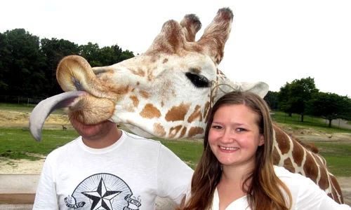 Girafa (Foto: Photoland/Caters) jpeg