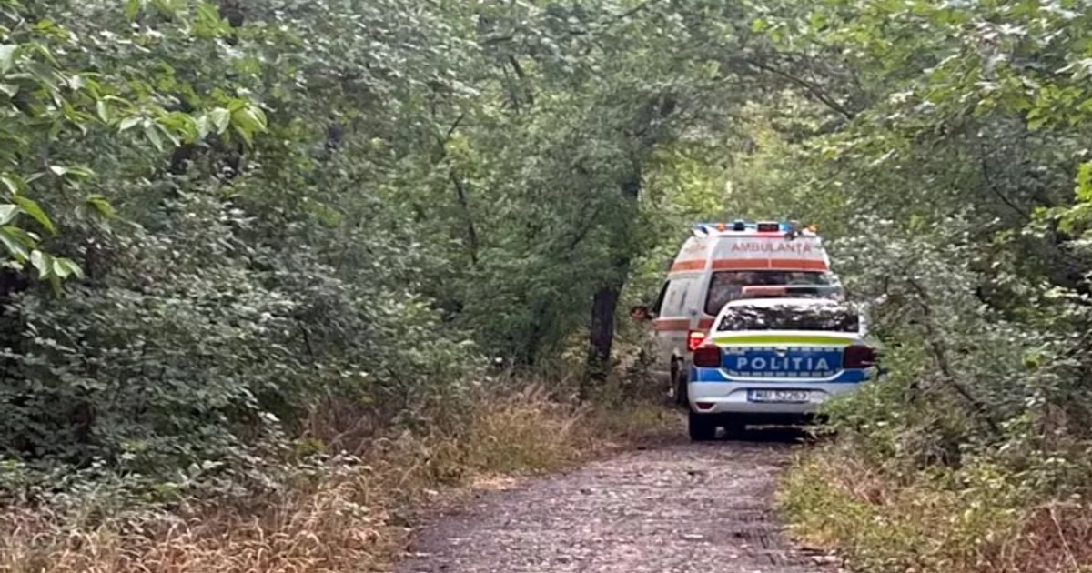 Iubita descoperă un bărbat spânzurat într-o pădure: motivele tragice ale gestului său. Iubita descoperă un bărbat spânzurat într-o pădure: motivele tragice ale gestului său.