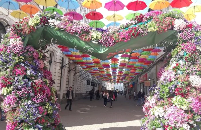 Cea mai colorată stradă din Timişoara