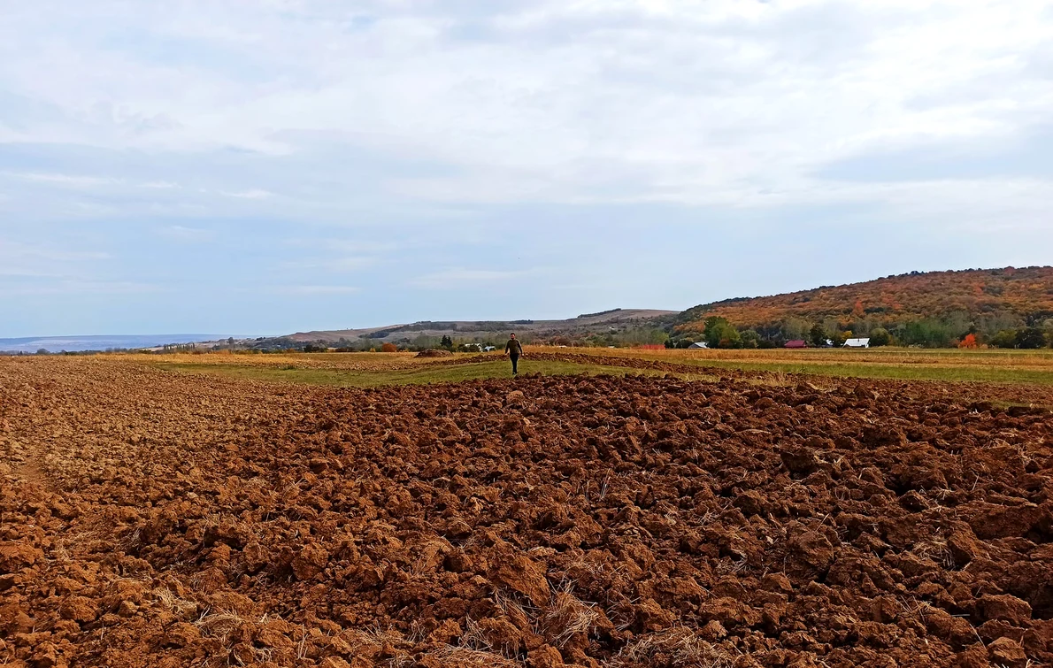 O structură defensivă spectaculoasă, descoperită în zona de nord-est a județului Neamț (foto:  Facebook / Vasile Diaconu - archaeologist)