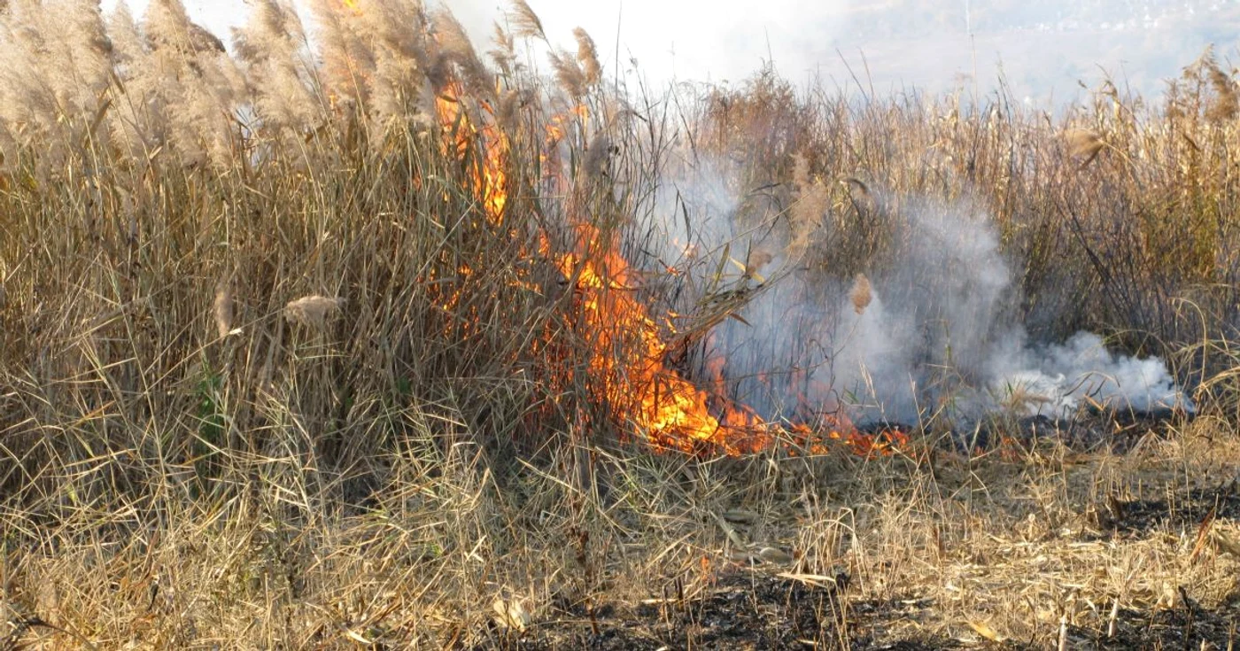 Zeci de incendii de vegetație uscată stinse de pompierii mureșeni
